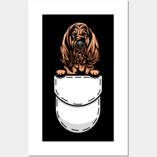 Funny Bloodhound Pocket Dog Posters and Art